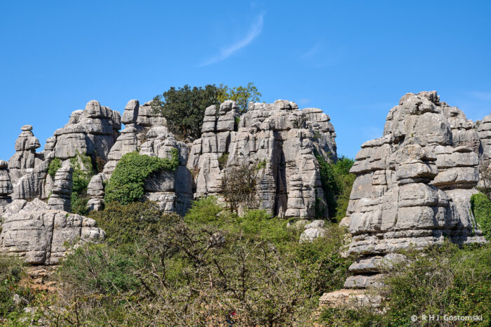 Torcal-NZ6_5854 Large, weathered limestone rock formations with vertical grooves rise above green shrubs and trees under a clear blue sky. Some rocks are covered with patches of greenery.