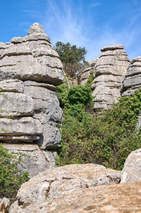 Torcal-NZ6_5858 Tall, layered limestone rock formations tower above dense green shrubs and bushes under a blue sky with wispy clouds.