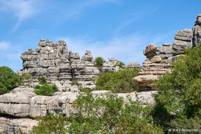 Torcal-NZ6_5861 Rocky limestone formations rise above green shrubs and trees under a clear blue sky, creating a rugged and scenic landscape.