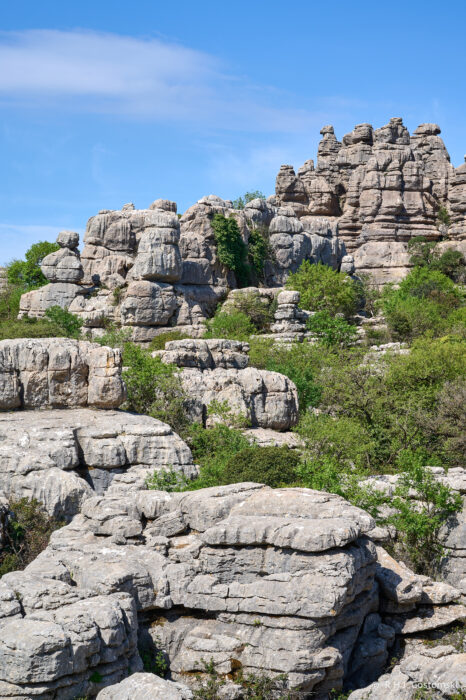 Torcal-NZ6_5865 Large, rugged limestone rock formations rise above green shrubs and bushes under a bright blue sky with scattered clouds. The rocks have layered, weathered surfaces, creating a dramatic natural landscape.