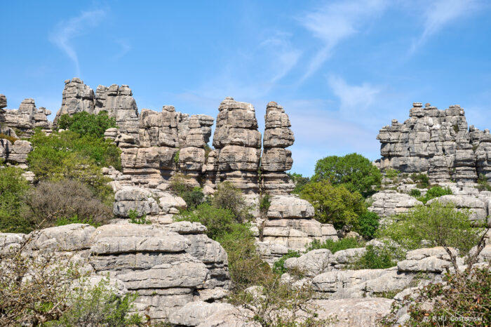 Torcal-NZ6_5866 Limestone rock formations rise above green shrubs and bushes under a bright blue sky with wispy clouds.