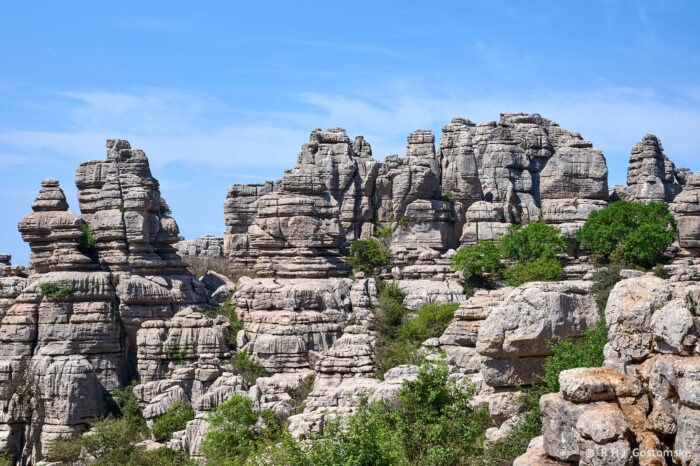 Torcal-NZ6_5873 Large, rugged limestone rock formations rise under a bright blue sky, with scattered green shrubs and trees growing among the rocky outcrops.