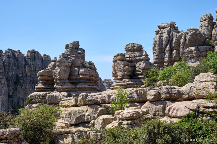 Torcal-NZ6_5881 Rocky landscape with large, weathered limestone formations and green shrubs under a clear blue sky at El Torcal de Antequera nature reserve in Spain.