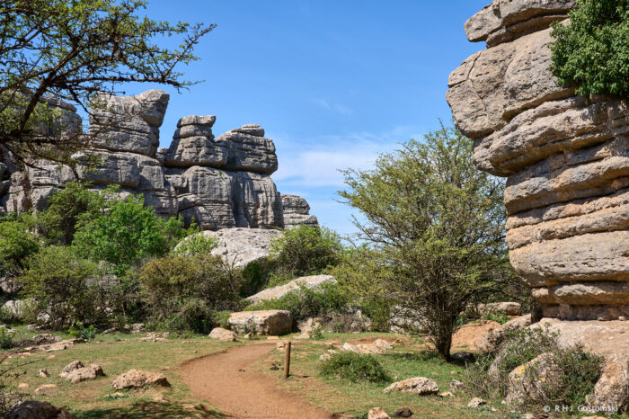 A dirt path, part of a scenic walking route, winds through green shrubs and rocky terrain, flanked by large, layered Torcal stone formations under a clear blue sky.