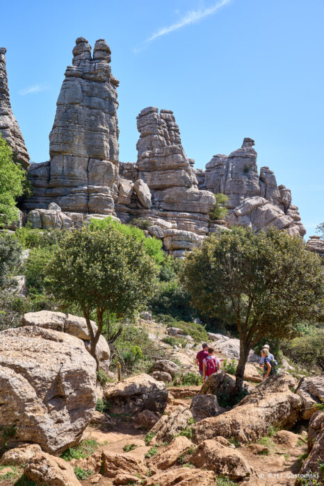 Torcal-NZ6_5885 Three people walk along a rocky path surrounded by trees, with tall, jagged limestone rock formations rising in the background under a clear blue sky.