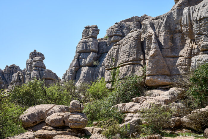 Torcal-NZ6_5887 Rocky landscape with tall, rugged limestone formations and scattered green shrubs under a clear blue sky. The scene is sunlit, highlighting textures in the stones and vegetation.