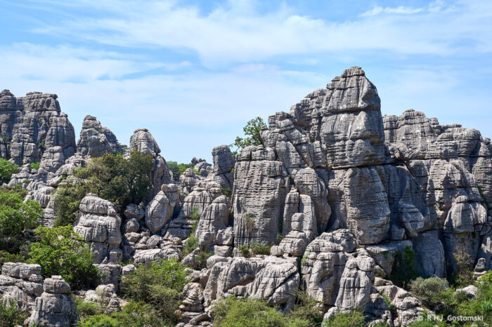 Torcal-NZ6_5906 Tall, rugged limestone rock formations rise above green shrubs and trees under a blue sky with scattered clouds, creating a dramatic natural landscape.