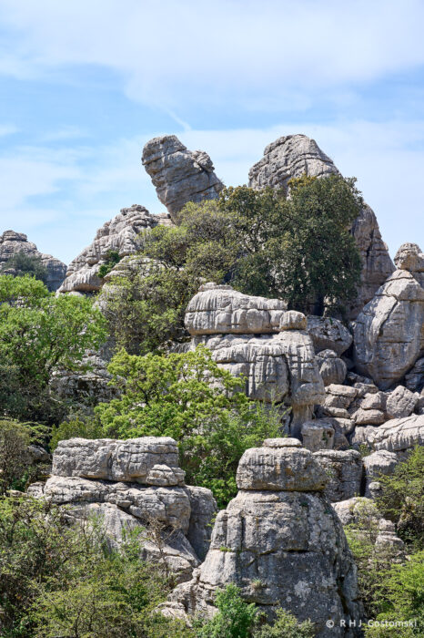 Torcal-NZ6_5909 Limestone rock formations rise above green shrubs and trees under a blue sky, creating a rugged, natural landscape.