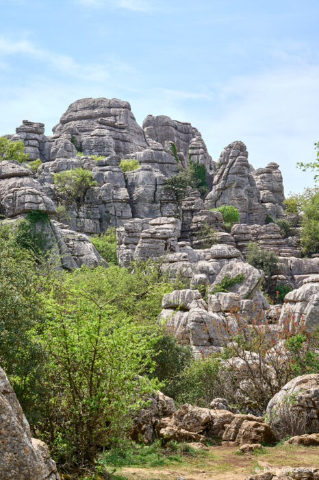 Torcal-NZ6_5925 Rocky limestone formations rise above green shrubs and small trees under a blue sky, creating a rugged natural landscape with layered, weathered stone structures.