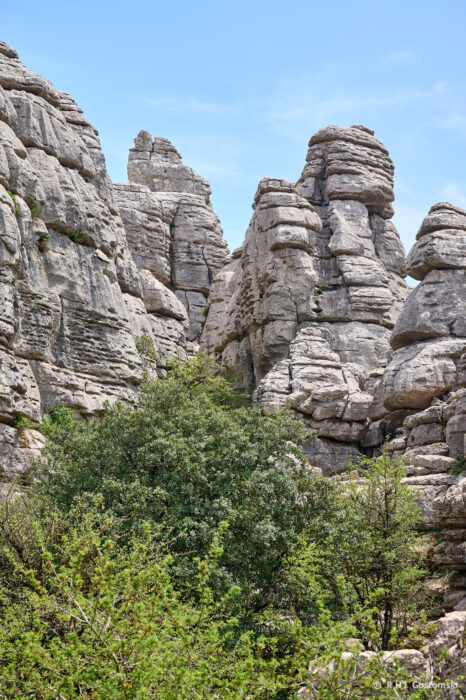 Torcal-NZ6_5929 Rocky limestone formations rise above green shrubs and trees under a blue sky, creating a rugged natural landscape.