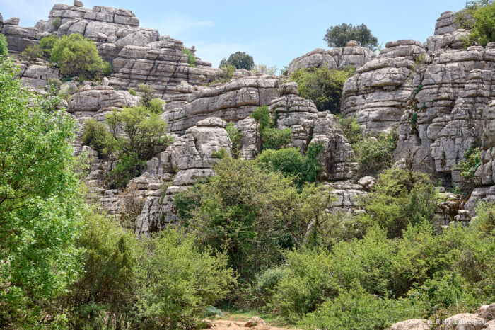 Torcal-NZ6_5932 Rocky cliffs with layered limestone formations rise above dense green shrubs and trees under a clear blue sky.