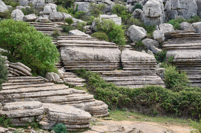 Torcal-NZ6_5949 Layered limestone rock formations with flat, stacked surfaces surrounded by green shrubs and small trees in a rugged, rocky landscape.