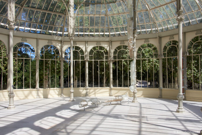Palacio de Cristal - Madrid, Spain A bright glass pavilion with tall arched windows and intricate metal framework. Sunlight streams in, casting shadows on the floor. Sculptural glass benches sit in the open, airy space surrounded by trees.