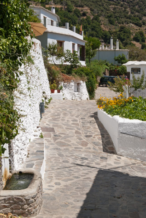 A narrow cobbled street in Capileira winds between whitewashed buildings with green plants and flowers, set against a hillside backdrop on a sunny day.