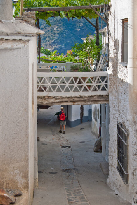A narrow, sunlit alley in Mecina with whitewashed walls, overhead greenery, and a small bridge. A person with a red rucksack and hat walks away from the camera towards a distant, mountainous landscape.