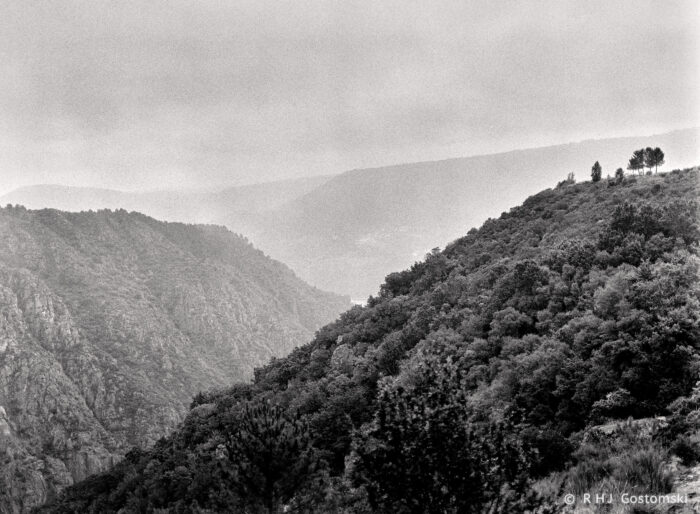 Black and white photo of a misty valley in Galicia, with tree-covered hills. The foreground shows dense foliage, whilst the background features receding mountains of the Ca&ntilde;&oacute;n del Sil under a cloudy sky.