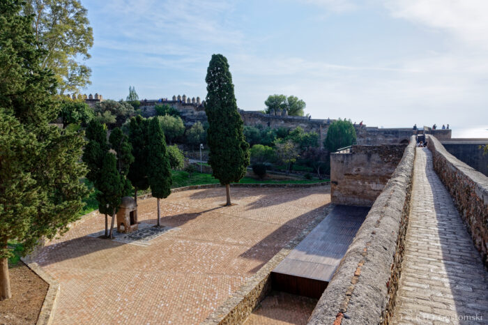 Castillo Gibralfaro rampart wall View of a brick-paved courtyard with tall cypress trees, surrounded by old stone walls. A walkway runs along the right side, leading to the greenery and fortifications in the background under a blue sky.