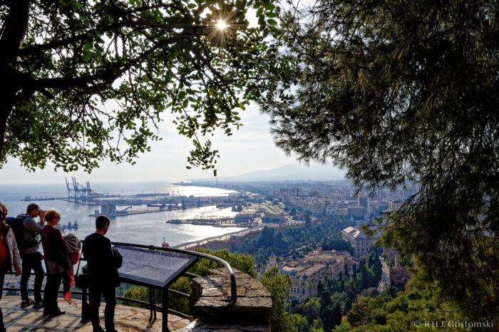 Tourists view an information board under leafy trees overlooking a sunny coastal city with a harbour, tall buildings, and distant mountains. Sunlight shines through the branches, illuminating the scene.