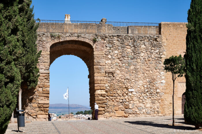 A person stands near the ancient Arco de los Gigantes, with a flag and a distant view of the sea and mountains visible through the arch. Tall trees line the walkway, bathed in bright sunlight.
