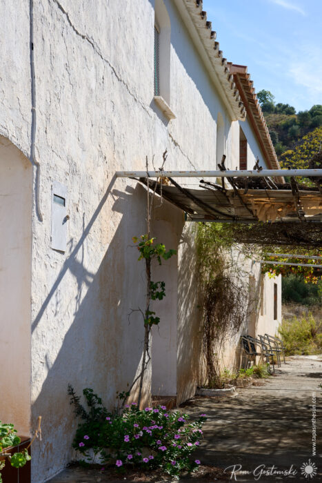 Sunlight casts shadows on the white, weathered exterior of a row of abandoned rustic terraced houses with a pergola covered in vines. Flowers bloom by the wall, and a few chairs line the path. Trees and hills rise in the distance.