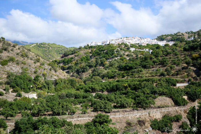 White houses of Canillas de Albaida crown a hilltop, contrasting against green, terraced hills under a partly cloudy blue sky. Dense trees blanket the landscape, with a wooden fence running across the foreground.