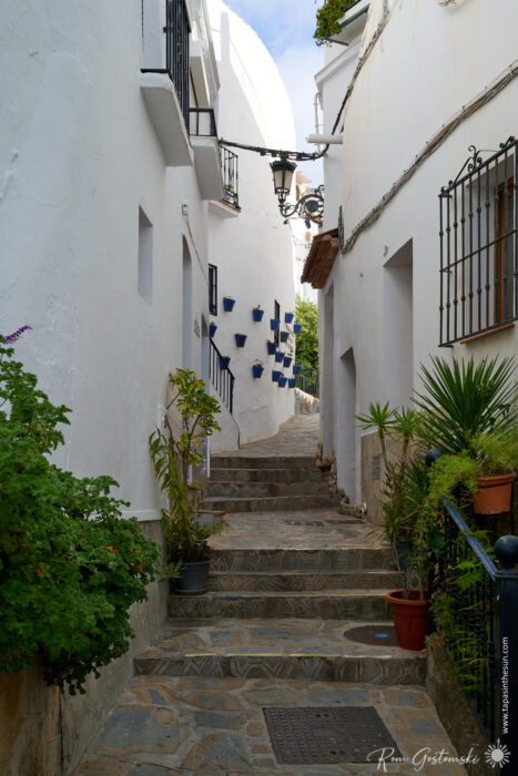Narrow stone steps lead up a charming C&oacute;mpeta alley lined with whitewashed buildings, potted plants, and a wall decorated with blue flowerpots. A black lantern hangs above, as sunlight brightens the picturesque scene.