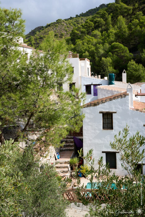 White-walled Mediterranean houses with terracotta roofs sit among green trees at the base of a wooded hillside in El Acebuchal. A staircase and patio with outdoor furniture are visible in the foreground.