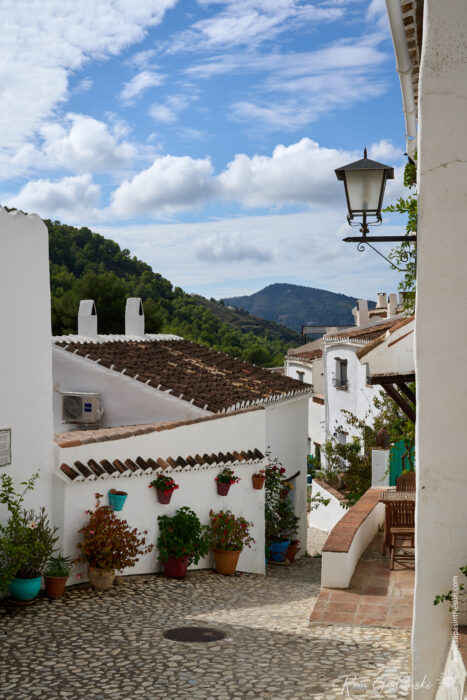 A narrow cobbled street in El Acebuchal&mdash;known as the lost village&mdash;winds between whitewashed houses, potted plants, and a traditional streetlamp, all set against green hills and a partly cloudy sky.