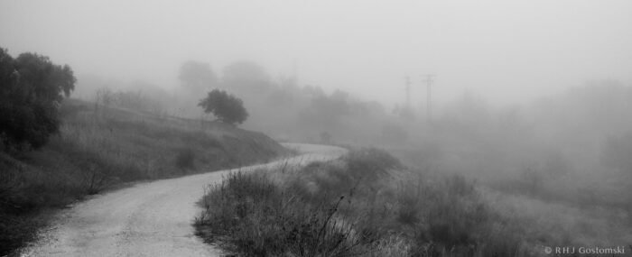 A winding dirt track leads through a foggy landscape with scattered trees and bushes, fading into the mist. Power lines and poles are faintly visible in the distance. The scene is in black and white.