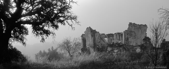 A black and white photo of a large tree beside the ruins of a crumbling stone building in a foggy, overgrown field. The scene appears desolate and abandoned, with mist softening the distant background.
