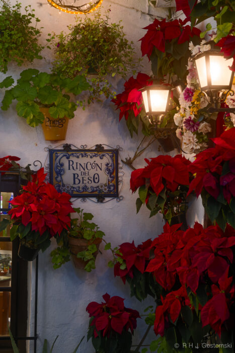 Rincón del Beso An outdoor wall features a Rincón del Beso sign, surrounded by bright red poinsettias, green plants, white flowers, and two lanterns, creating a warm and festive atmosphere.