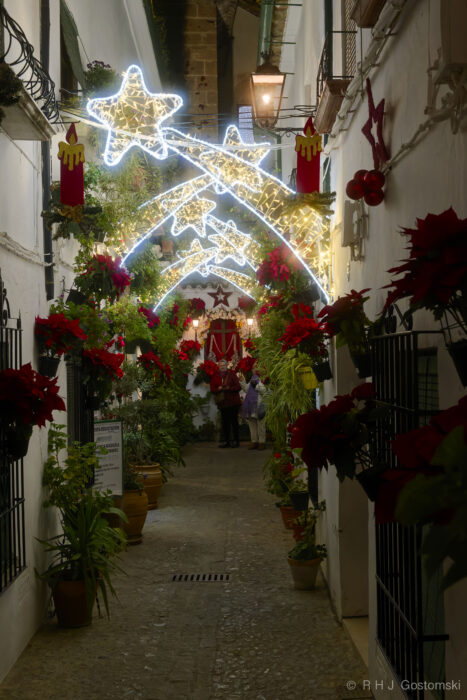 A narrow cobblestone alley in the Barrio de La Villa, Priego de Córdoba at Christmas A narrow cobblestone alley in the Barrio de La Villa, Priego de Córdoba, is adorned with potted red poinsettias, glowing star arches, and festive ornaments, creating a warm and inviting Christmas atmosphere at night.