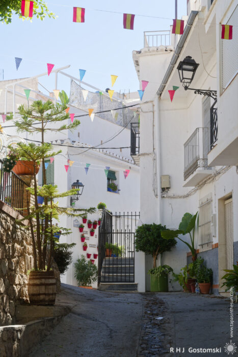 Guájar-Faragüit A narrow, sunlit street in Guájar-Faragüit features white buildings, potted plants, colourful buntings, and Spanish flags hanging above, creating a cheerful and inviting atmosphere.