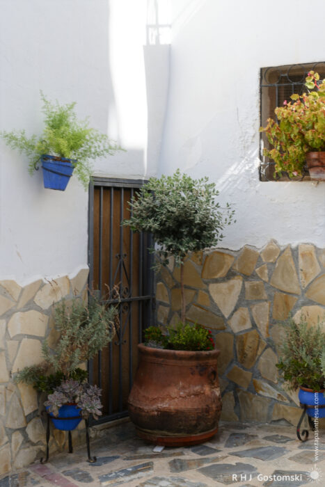 Potted plants in the corner of a terrace A small courtyard with potted plants, a stone and white plaster wall, a black metal door, and a window with a flower-filled grille.