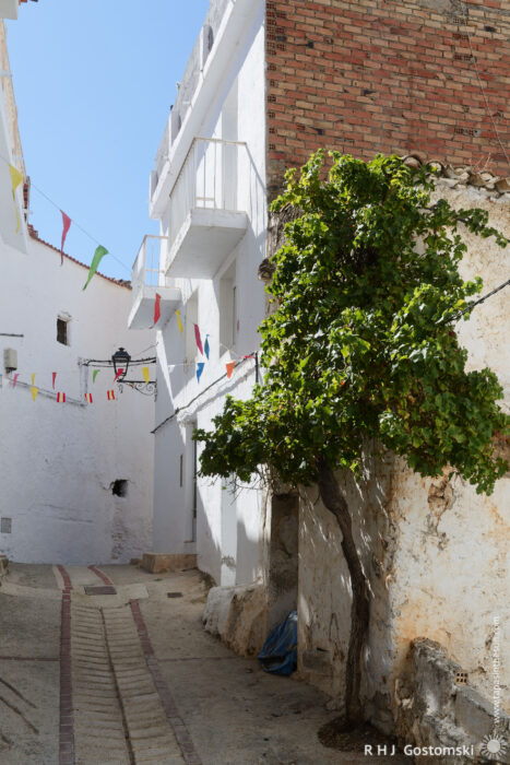A narrow alley in Guájar-Faragüit A narrow alley in Guájar-Faragüit with whitewashed buildings, colourful pennant flags overhead, and a leafy green tree growing beside a weathered wall.