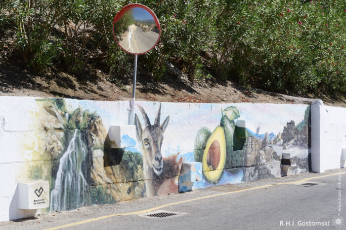 Mural A colourful mural on a roadside wall depicts a waterfall, a goat, an avocado, and a rocky landscape. There is a convex traffic mirror above, and lush greenery in the background.