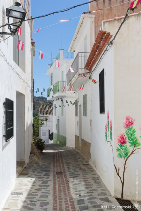 A narrow street in Guájar-Faragüit A narrow, sunlit street in Guájar-Faragüit with whitewashed buildings, fairy lights, and red-yellow flags. A cobbled path winds past a flower mural, with distant green hills visible at the end of the street.