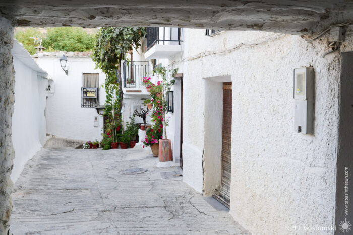 A narrow, whitewashed alley in Capileira A narrow, whitewashed alley in Capileira, with potted plants and flowers by doors and balconies, seen through an arched passageway.