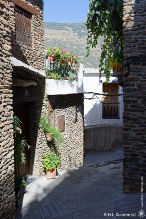 A narrow alleyway in Capileira with stone houses A narrow, sunlit stone alleyway in Capileira features potted plants and flowers on windowsills and balconies, with mountains visible in the background.