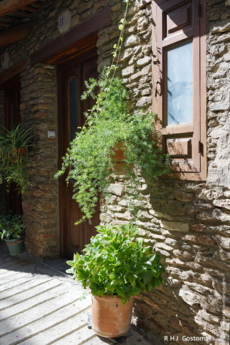 A rustic stone wall decorated by potted plants Potted green plants decorate a rustic stone wall beside a wooden door and window, bathed in bright sunlight. Shadows from the plants and window frame fall across the stone pavement.