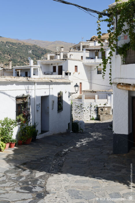 Capileira A narrow, cobblestone street winds through whitewashed houses in Capileira, with potted plants and vines. Sunlight casts shadows on the walls as mountains rise in the background under a clear blue sky.