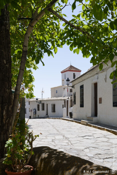 The bell tower of Iglesia Nuestra Seniora de la Cabeza A sunlit stone-paved street in a whitewashed village, with the Iglesia Nuestra Señora de la Cabeza in the background. A tree with green leaves frames the scene, and shadows fall across the quiet, peaceful path.