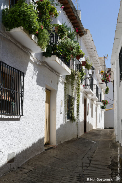 Narrow concrete street in Capileira Narrow concrete street lined with whitewashed buildings featuring balconies and windows adorned with colourful potted flowers and green plants in bright sunlight.
