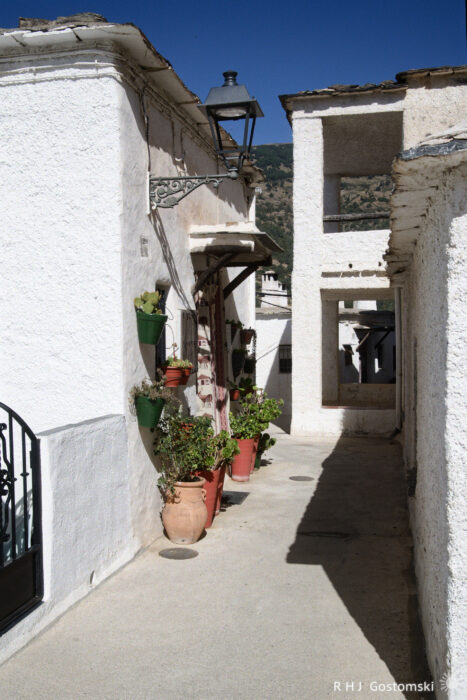 Narrow sunlit alley in Capileira Narrow sunlit alley with whitewashed buildings, potted plants lining the walls, and a black lantern overhead. Mountains and blue sky are visible in the background.