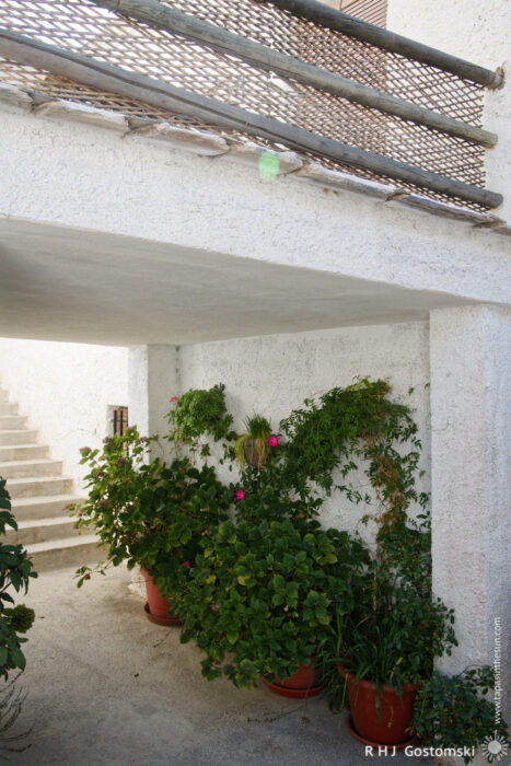 Potted plants under a tinao A shaded outdoor area under a tinao with white render walls, several green potted plants with pink flowers, and a staircase leading upward on the left side. Sunlight filters in from the left.