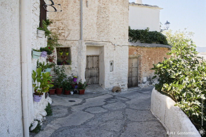 A narrow street in Capileira A narrow street in Capileira with whitewashed stone walls, potted plants by doorways, and a curved path leading past vine-covered houses under a clear blue sky.