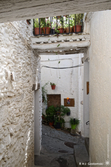 Narrow steep alleys, white houses and tines A narrow, sunlit alley with whitewashed stone walls, potted plants on the ground and on a tinao above, and a sloped walkway in a quaint village setting.