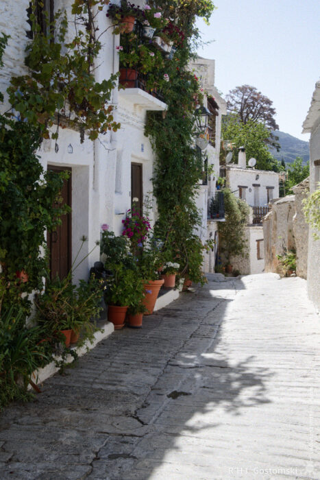 A narrow street in Capileira A narrow, sunlit concrete street in Capileira, lined with whitewashed houses, doors, and windows, is decorated with vibrant green vines and potted flowers, creating a charming and peaceful Spanish village scene.