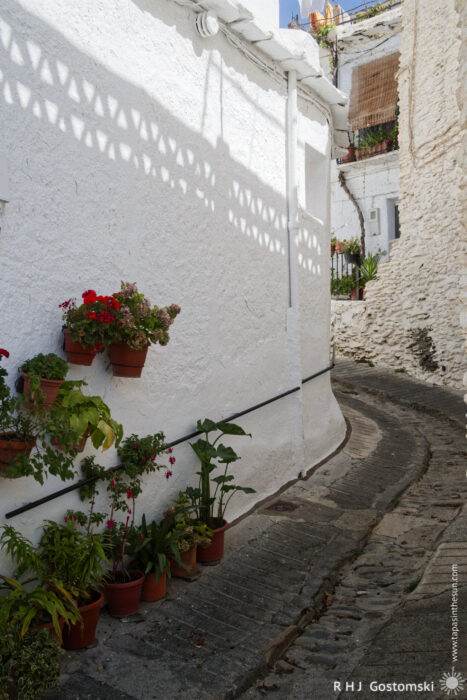 Narrow winding alley. Note the central drain gulley A narrow, winding stone street lined with whitewashed buildings; potted plants with red and green foliage decorate the wall, and sunlight casts patterned shadows.