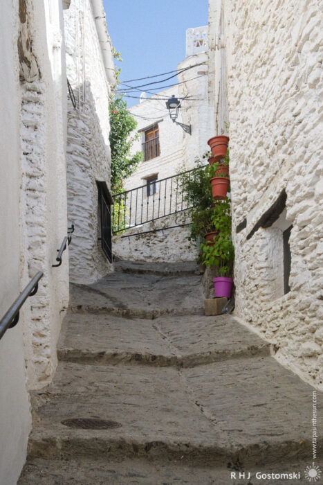 A steep stepped alley Narrow stone alleyway with uneven steps between whitewashed buildings, lined with potted plants and flowers. A black iron railing and lamp post are visible under a bright blue sky.